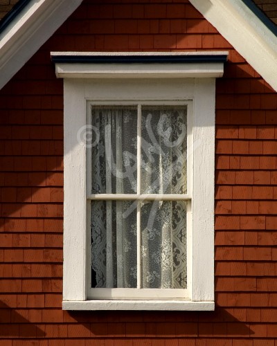 Woody Point window